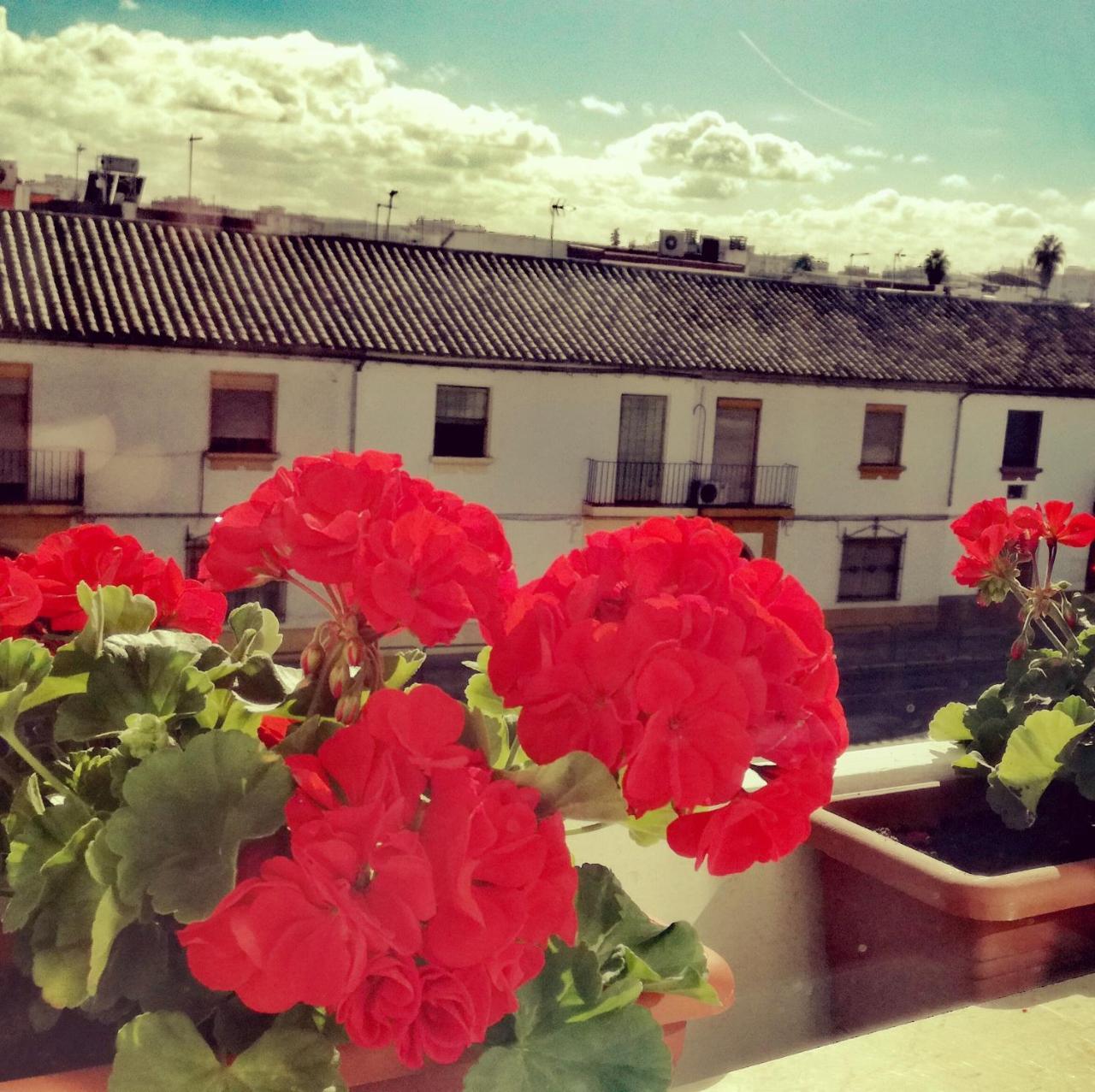 Hotel Abadi Córdoba Kültér fotó